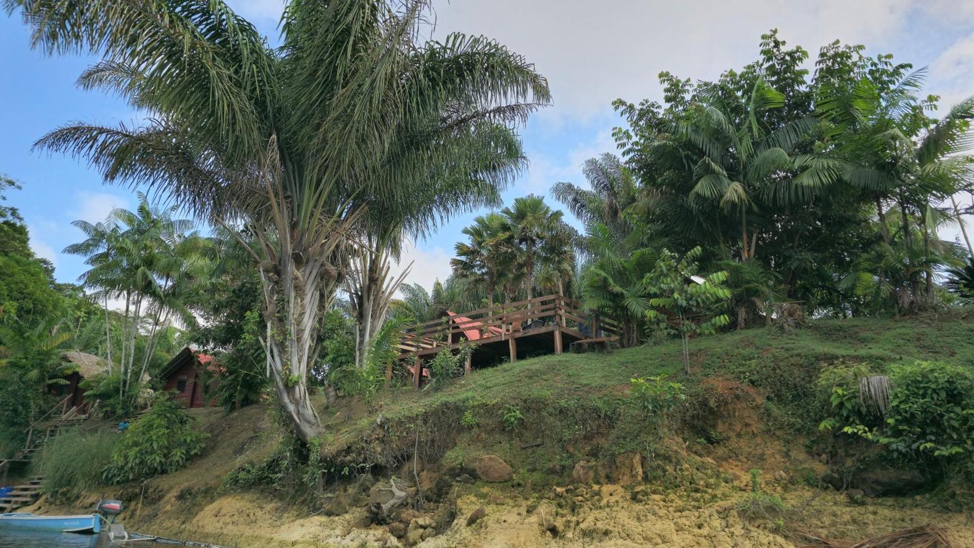 Greenheart Boutique Hotel Paramaribo Eksteriør bilde