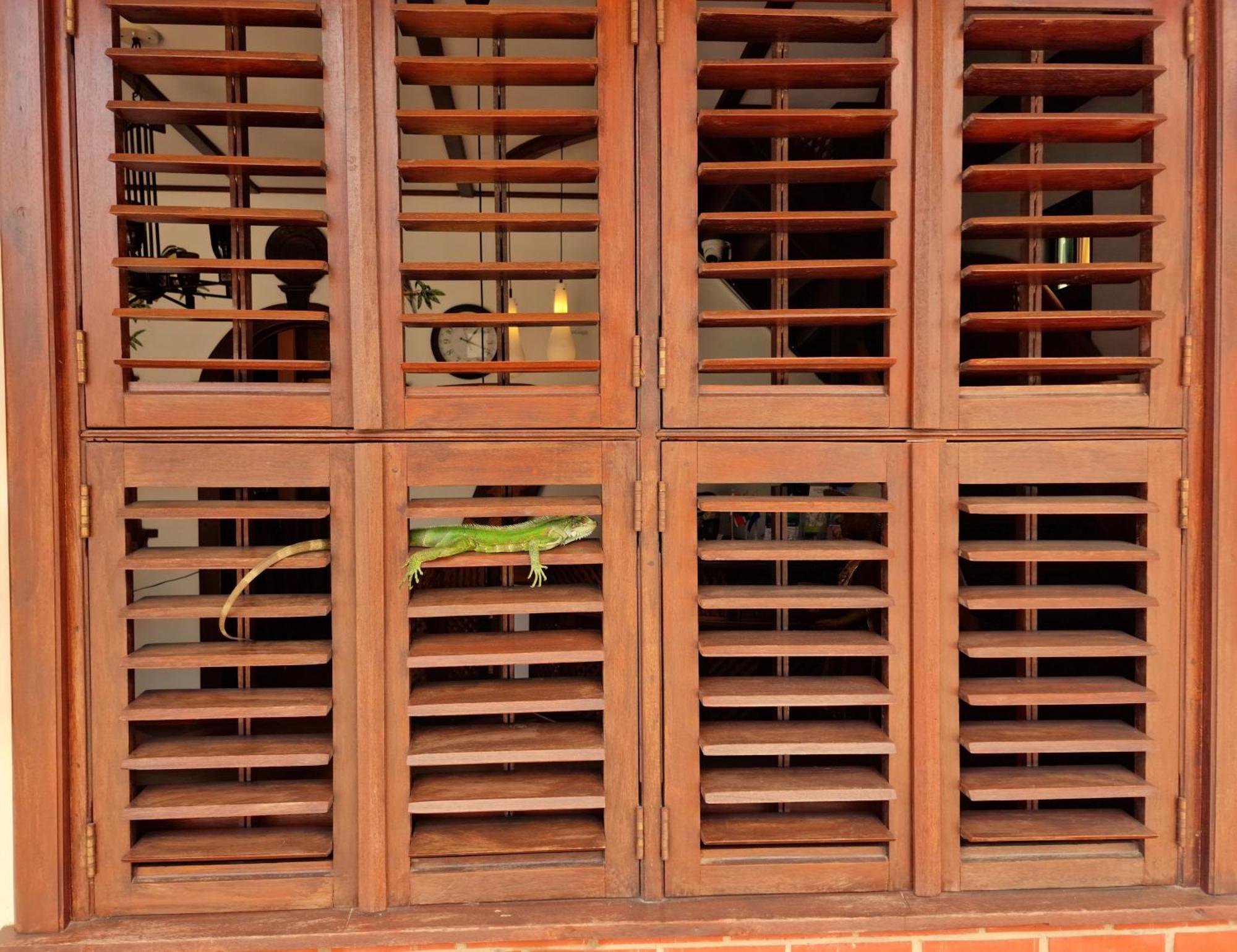 Greenheart Boutique Hotel Paramaribo Eksteriør bilde